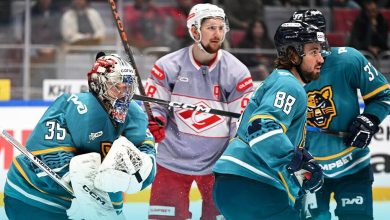 Photo of Травяной хоккей vs ледовой хоккей: что выбрать?