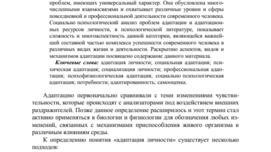 Photo of Универсальность и адаптивность в любых условиях